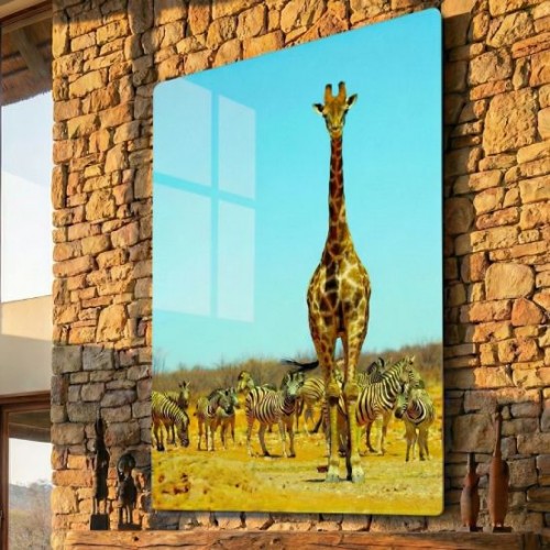 24x36 Custom Metal Photo Print - Gloss 24x36 Custom Metal Photo Print - Gloss